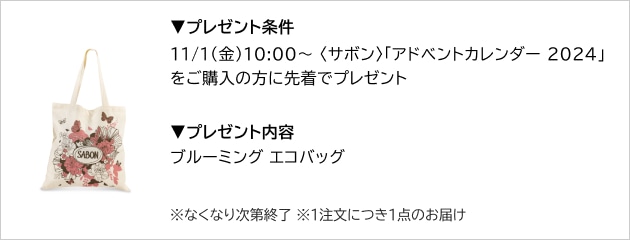 大幅値下げ【SABON◇ADVENT めんどくさけれ CALENDAR 24】アドベント