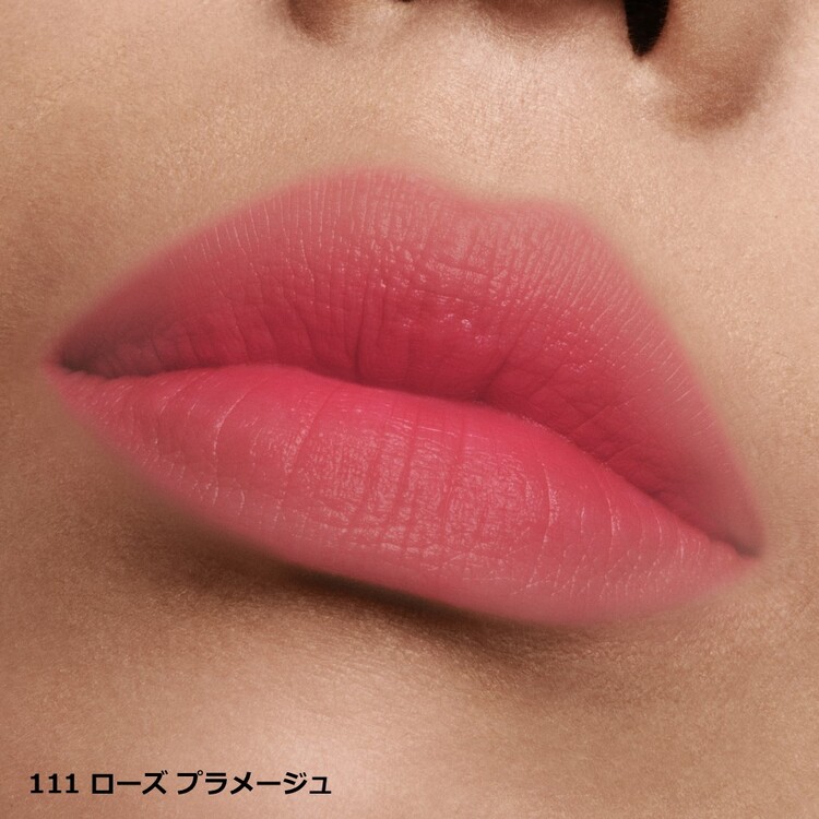 リップ スティロ マット 111 ローズ プラメージュ