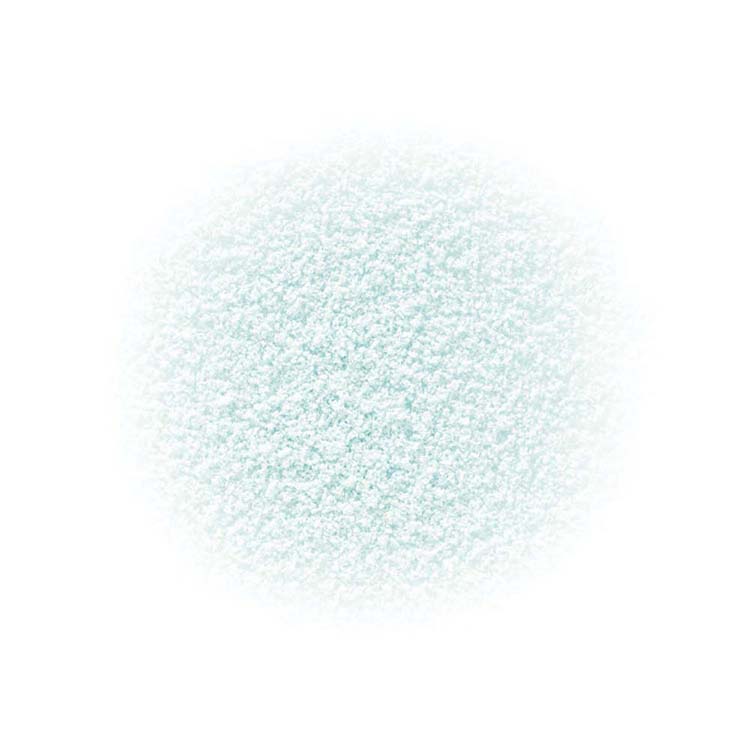 THREE アドバンスドエシリアルスムースオペレーター ルースパウダー X04 (限定品)