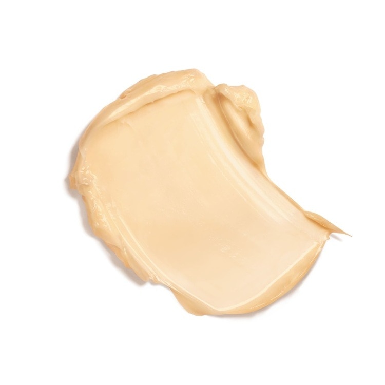 サブリマージュ ル ボーム N 50g