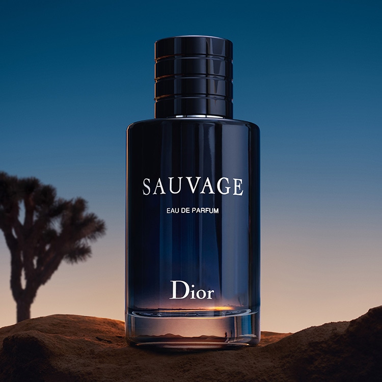 Dior SAUVAGE ディオール ソヴァージュ  オードゥ　 60ml