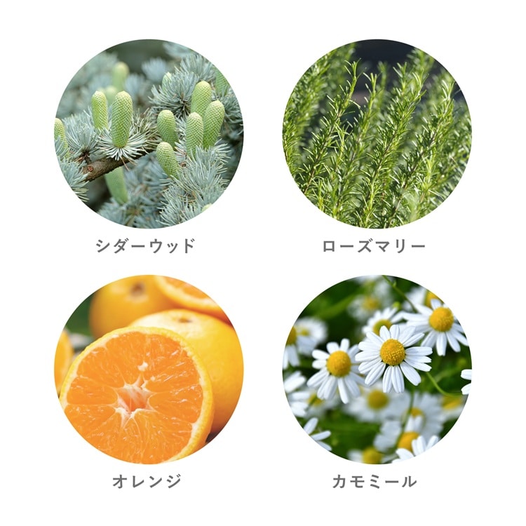 ボディミルク Utsuri