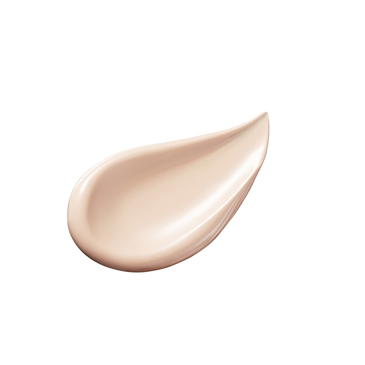 ザ・スキンウエイク 発酵液ファンデーション フィルタリングクリーム(8g)コンパクトケース付 P02