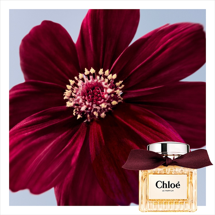 クロエ ル パルファム 30mL