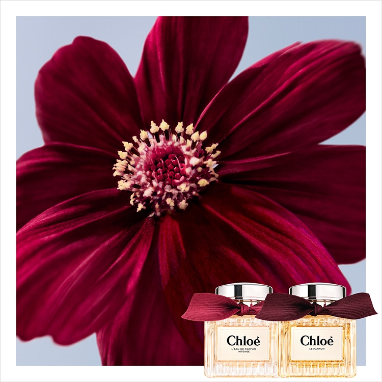 クロエ ル パルファム 100mL