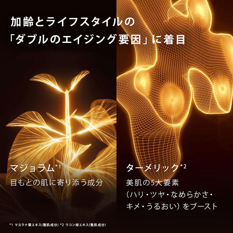 ダブル セーラム アイ ADC