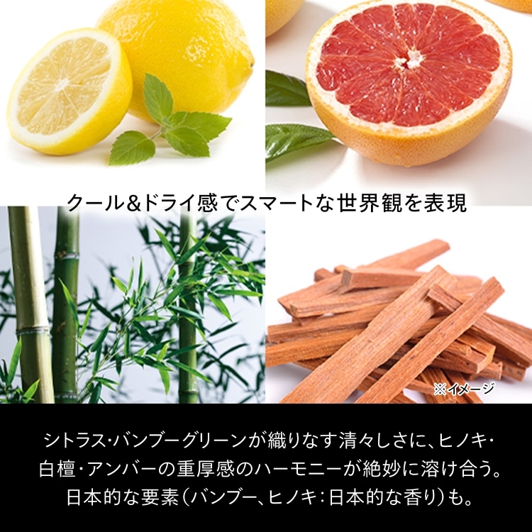 メン トータルR クリーム N 50g(レフィル)