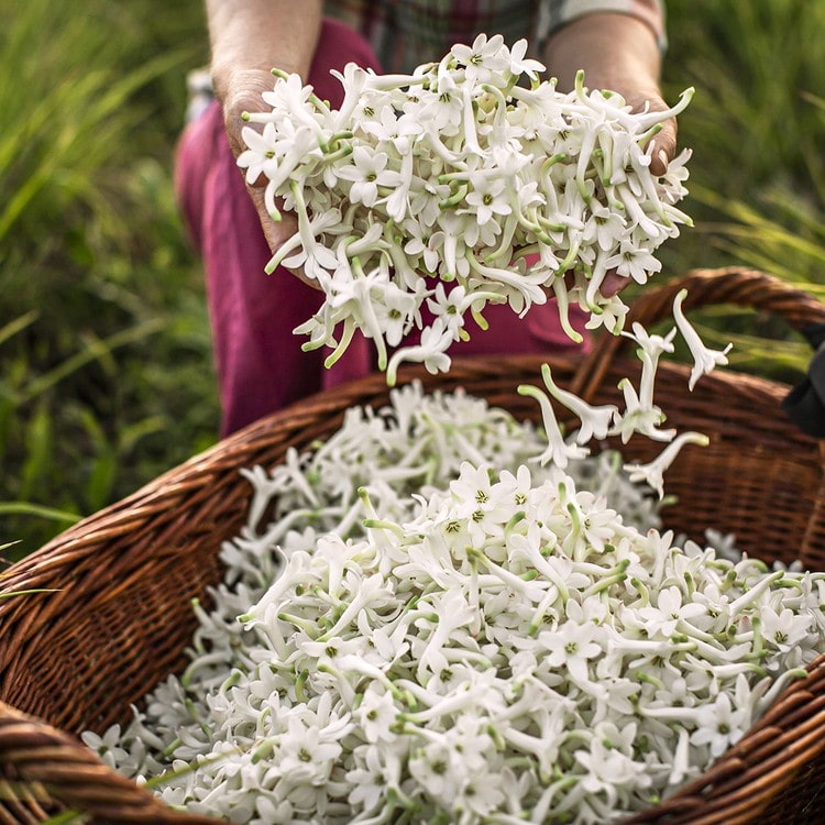 宅配 ディオール ジャドール インフィニッシム 50ml 香水 女性用