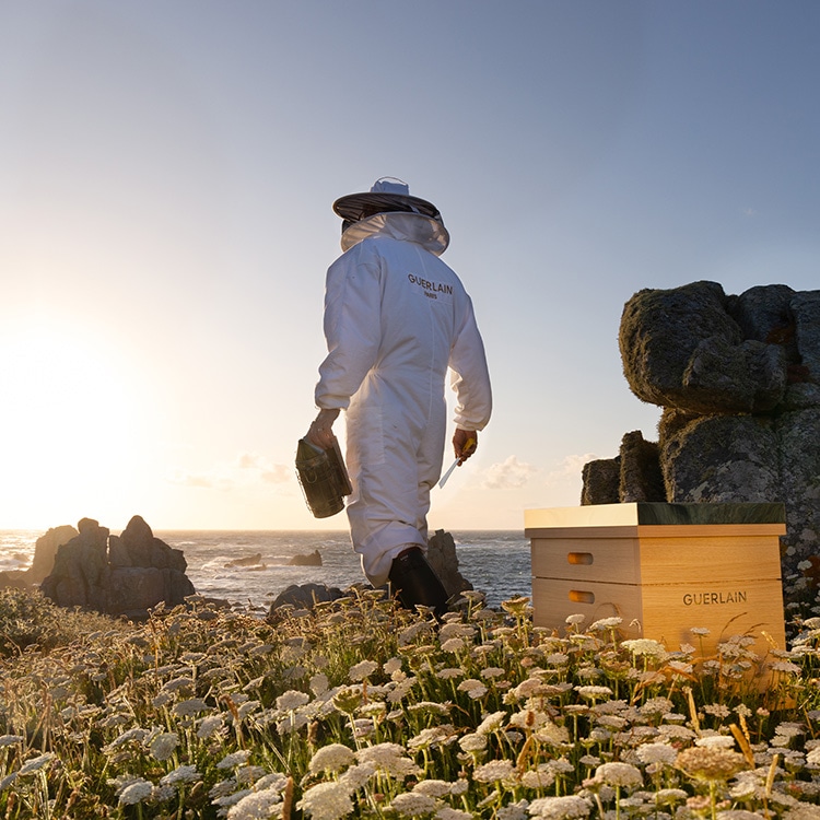 アベイユ ロイヤル ユース アイケア クリーム