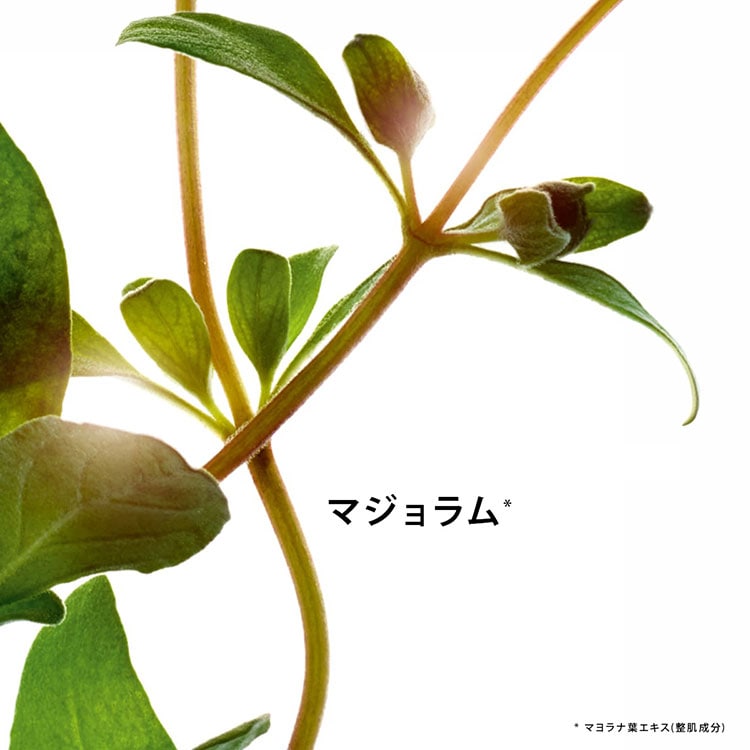 ダブル セーラム アイ ADC