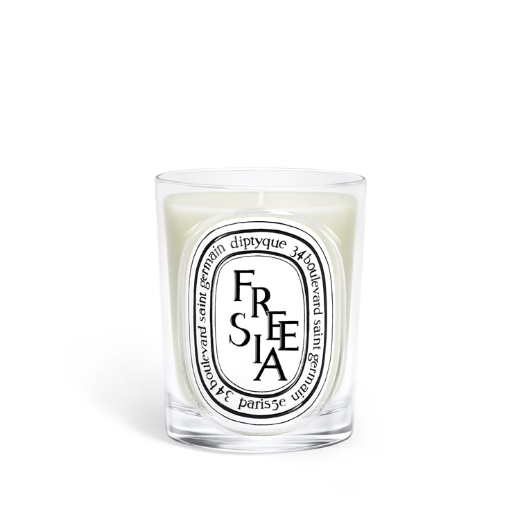 クラシック キャンドル フリージア