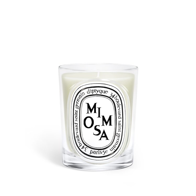 クラシック キャンドル ミモザ