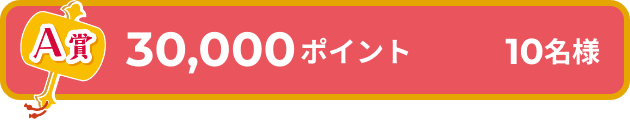 A賞 30,000ポイント 10名様