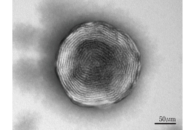 ナイト多重層バイオリポソーム(ナイトカプセル)の電子顕微鏡写真