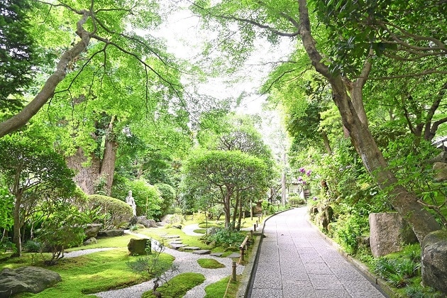近年は苔の美しい寺としても注目される。山門入ってすぐの左手には特に美しい苔庭が広がる