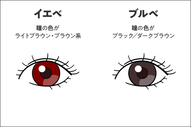◆瞳の色