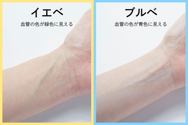 ◆血管の色