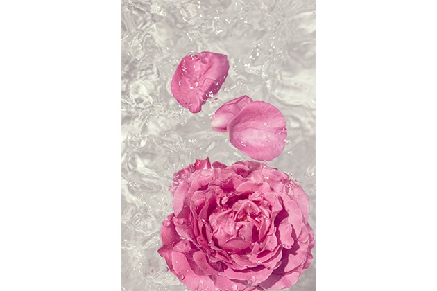 ・イヴピアッツェローズの香り(Yevs Piaget Rose)