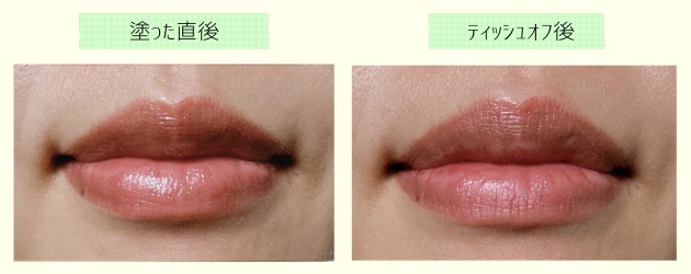 V09使用イメージ