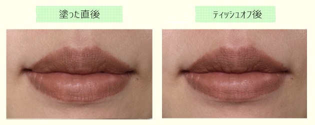 65使用イメージ