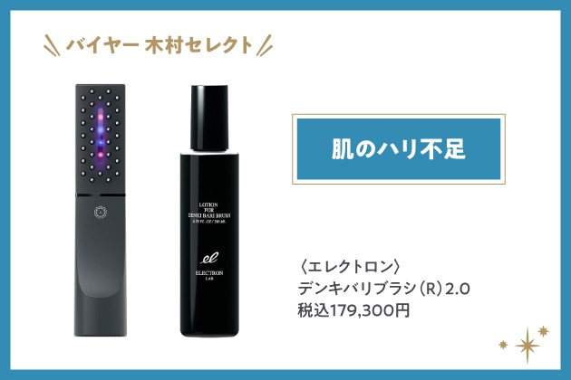 〈エレクトロン〉デンキバリブラシ(R)2.0 税込179,300円