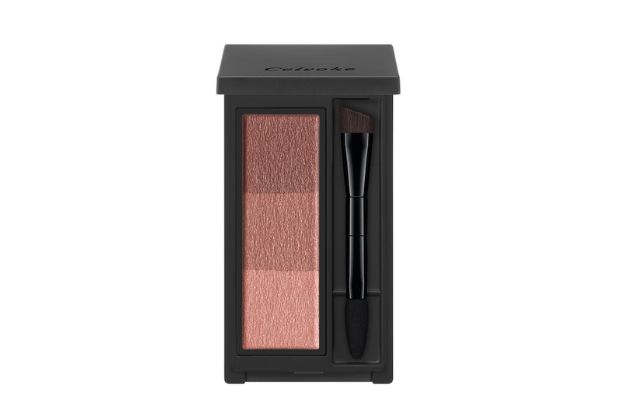 〈セルヴォーク〉インディケイト アイブロウパウダー(11) 税込3,850円