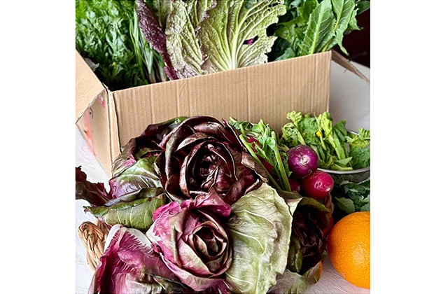 今月の「マイルーティン」