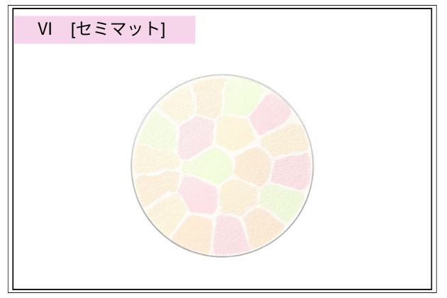 〈エレガンス〉ラ プードル オートニュアンス(Ⅵ) 税込13,200円