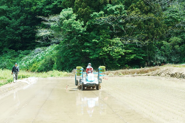 2021年に株式会社AGRIKOを設立されました。起業するまでの経緯を教えてください。