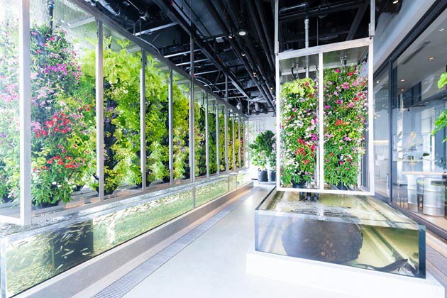 高輪ゲートウェイの「AGRIKO&times;MIMURE BOTANICAL Lab」では、どのような取り組みをされていますか？