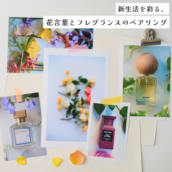 おすすめ香水記事6