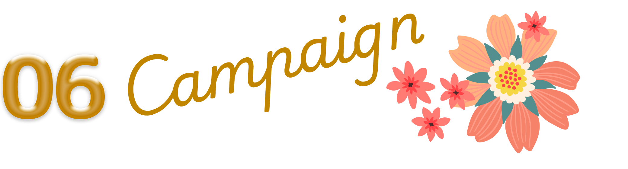 06 Campaign