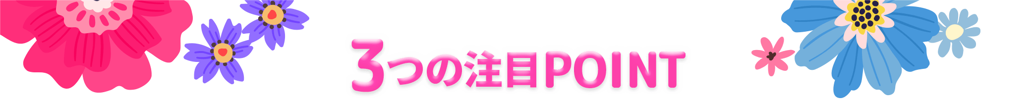 3つの注目POINT